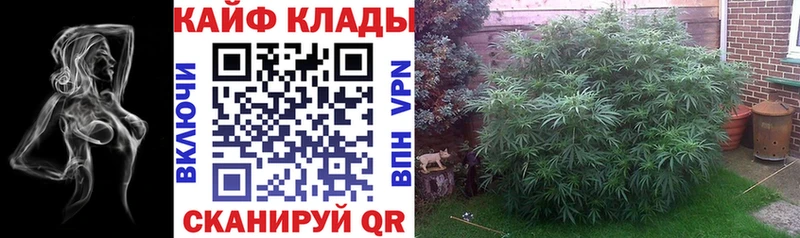 Какие есть наркотики Михайловка СК  Каннабис  Кокаин  МЕФ  ГАШИШ 