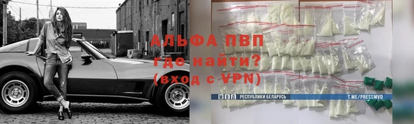 гидра Кинешма