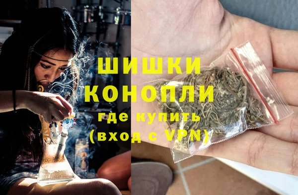 гидра Кинешма