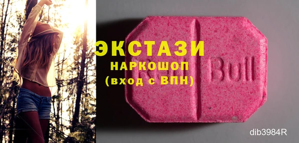 гидра Кинешма