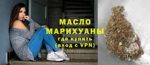 индика Осинники