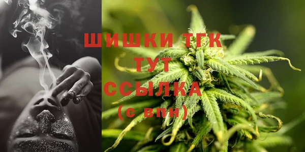 спайс Карталы