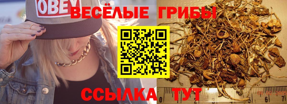 магазин    Михайловка  Псилоцибиновые грибы Magic Shrooms 