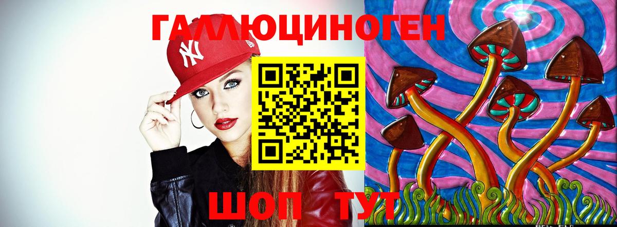 Псилоцибиновые грибы мицелий Михайловка